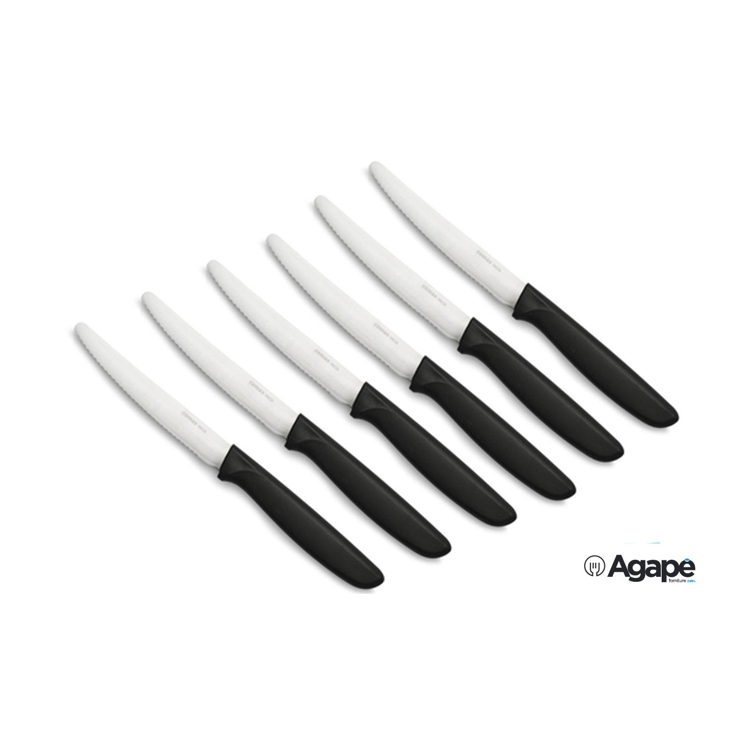 WONDAY Confezione Da 5 Coltelli Da Fiorista – Lama In Acciaio Inox 2CR14 – Manico In PP Antiscivolo – Lunghezza 16 Cm – Per Tagli Precisi