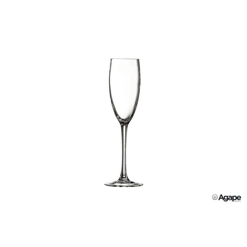 Cabernet Tulipe Calice Flut Cl 16 Vetro